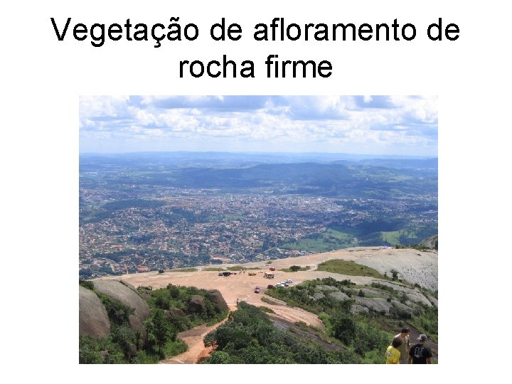 Vegetação de afloramento de rocha firme 