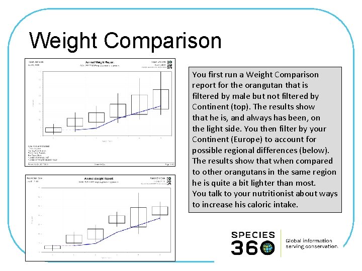 Weight Comparison You first run a Weight Comparison report for the orangutan that is