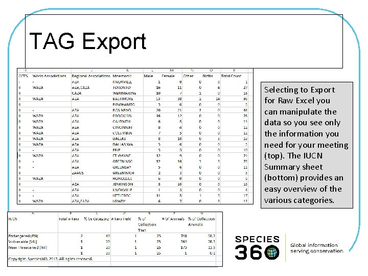 TAG Export Selecting to Export for Raw Excel you can manipulate the data so
