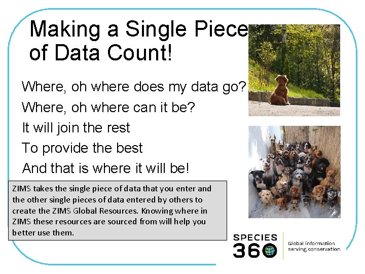 Making a Single Piece of Data Count! Where, oh where does my data go?