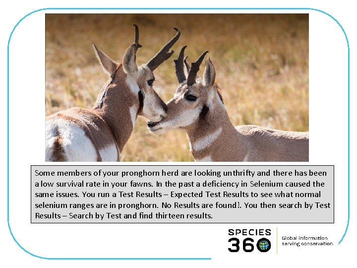 Some members of your pronghorn herd are looking unthrifty and there has been a