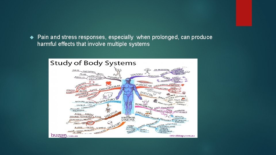  Pain and stress responses, especially when prolonged, can produce harmful effects that involve