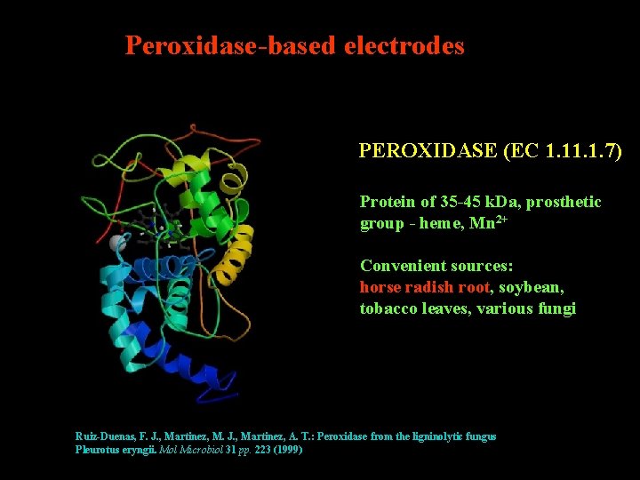 Peroxidase-based electrodes PEROXIDASE (EC 1. 1. 7) Protein of 35 -45 k. Da, prosthetic