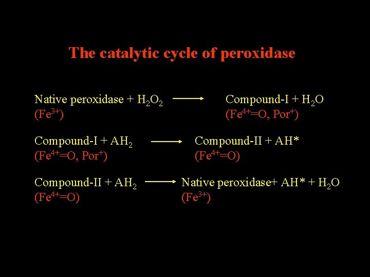 The catalytic cycle of peroxidase Native peroxidase + H 2 O 2 (Fe 3+)