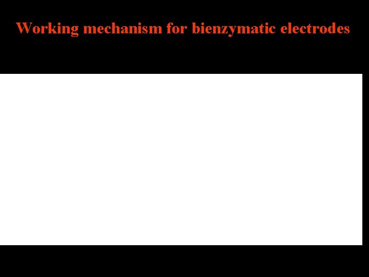 Working mechanism for bienzymatic electrodes 