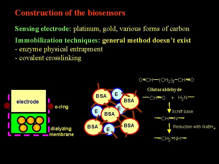 Construction of the biosensors Sensing electrode: platinum, gold, various forms of carbon Immobilization techniques: