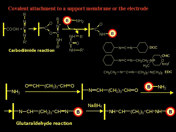 Covalent attachment to a support membrane or the electrode R N O C COOH