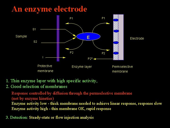 An enzyme electrode P 1 S 1 - - Sample E S 2 -