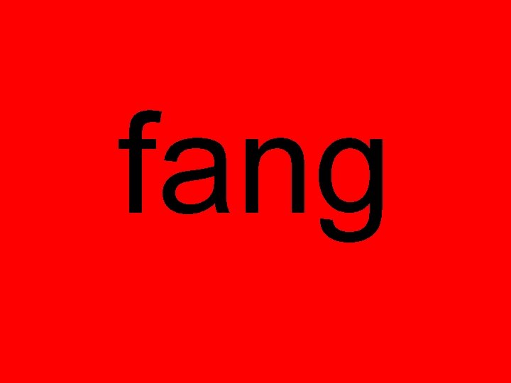 fang fang