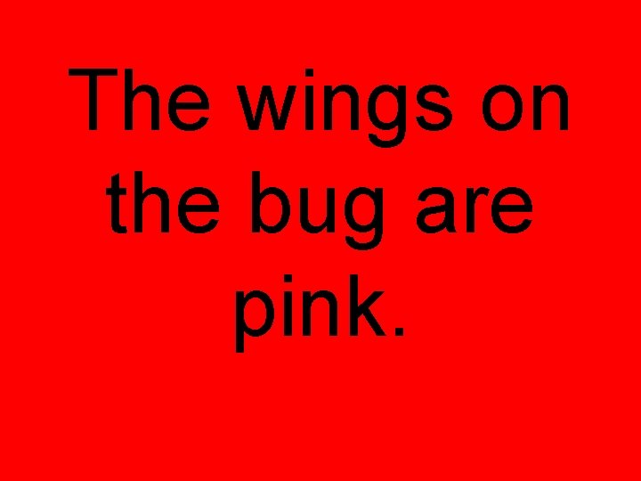 The wings on the bug are pink. The wings on the bug are pink.