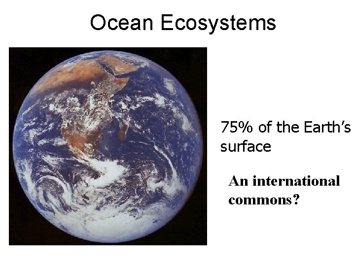Ocean Ecosystems 75% of the Earth’s surface An international commons? 