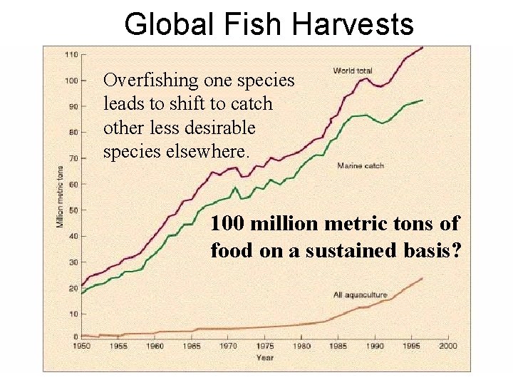 Global Fish Harvests Overfishing one species leads to shift to catch other less desirable