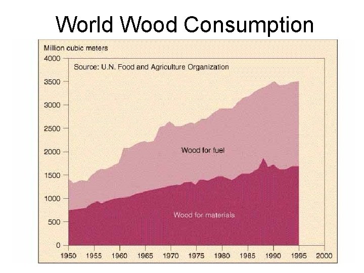 World Wood Consumption 