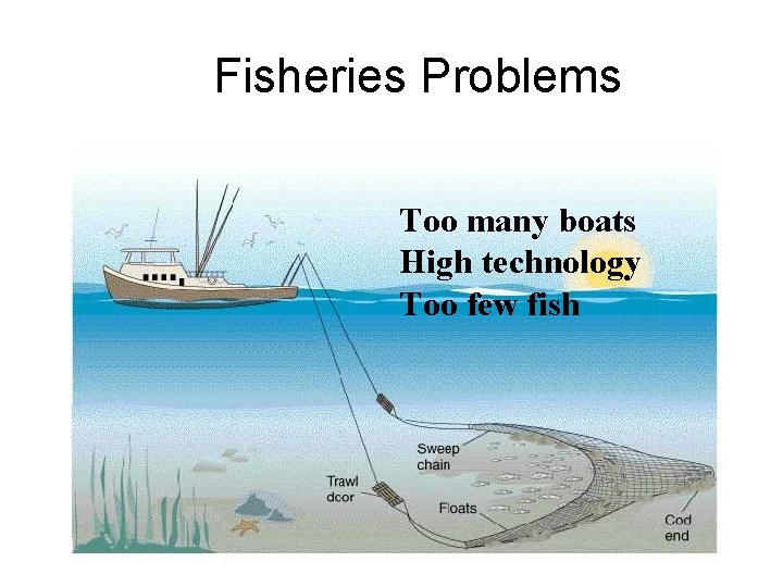 Fisheries Problems Too many boats High technology Too few fish 