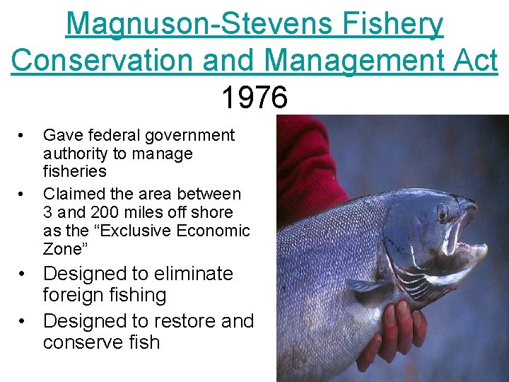 Magnuson-Stevens Fishery Conservation and Management Act 1976 • • Gave federal government authority to