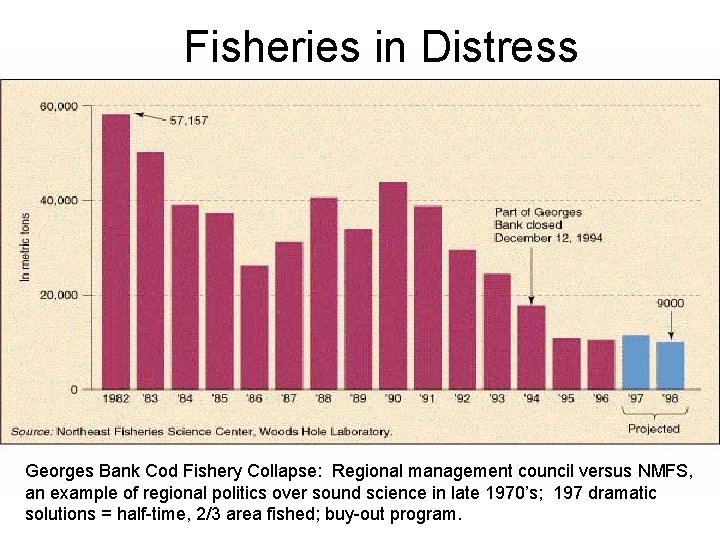 Fisheries in Distress Georges Bank Cod Fishery Collapse: Regional management council versus NMFS, an