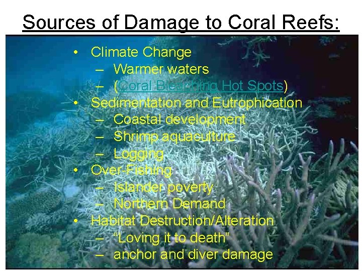 Sources of Damage to Coral Reefs: • Climate Change – Warmer waters – (Coral