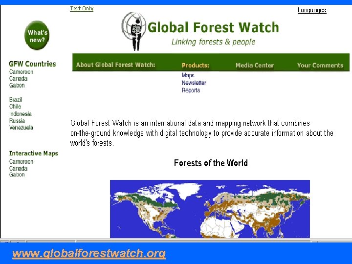 www. globalforestwatch. org 