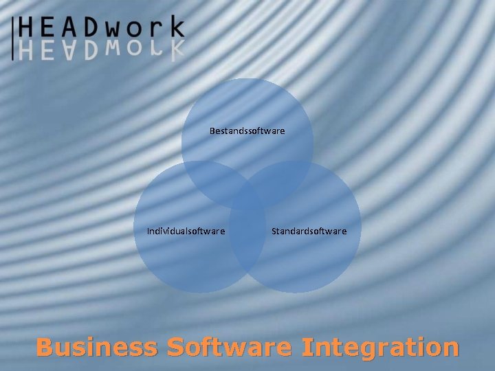 Bestandssoftware Individualsoftware Standardsoftware Business Software Integration 