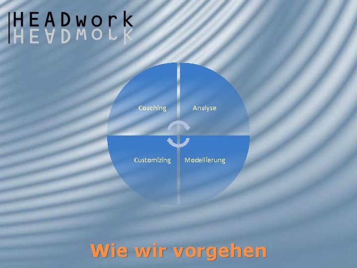 Coaching Analyse Customizing Modellierung Wie wir vorgehen 