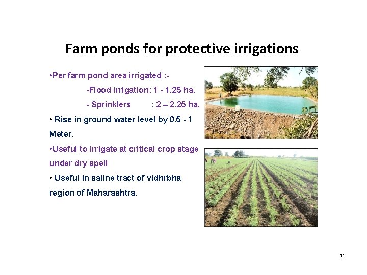 Farm ponds for protective irrigations • Per farm pond area irrigated : -Flood irrigation: