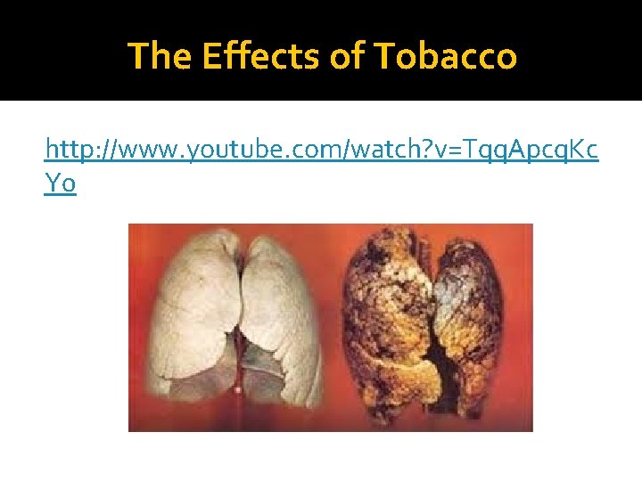 The Effects of Tobacco http: //www. youtube. com/watch? v=Tqq. Apcq. Kc Y 0 