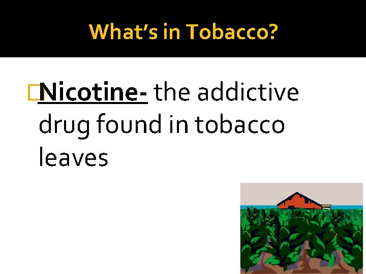 What’s in Tobacco? �Nicotine- the addictive drug found in tobacco leaves 