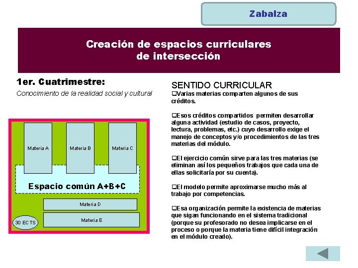 Zabalza Creación de espacios curriculares de intersección 1 er. Cuatrimestre: Conocimiento de la realidad