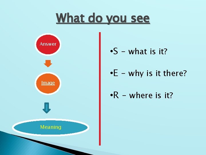 What do you see Answer Image • S – what is it? • E