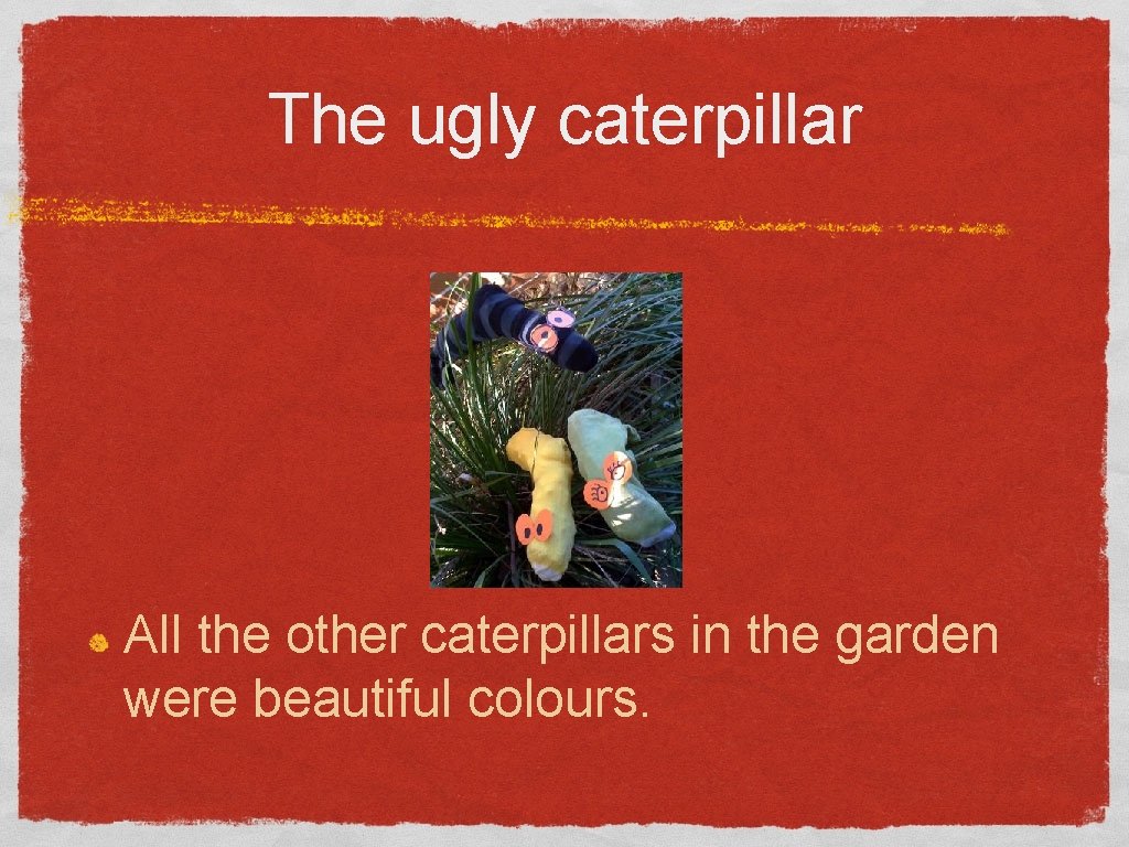 The ugly caterpillar All the other caterpillars in the garden were beautiful colours. 