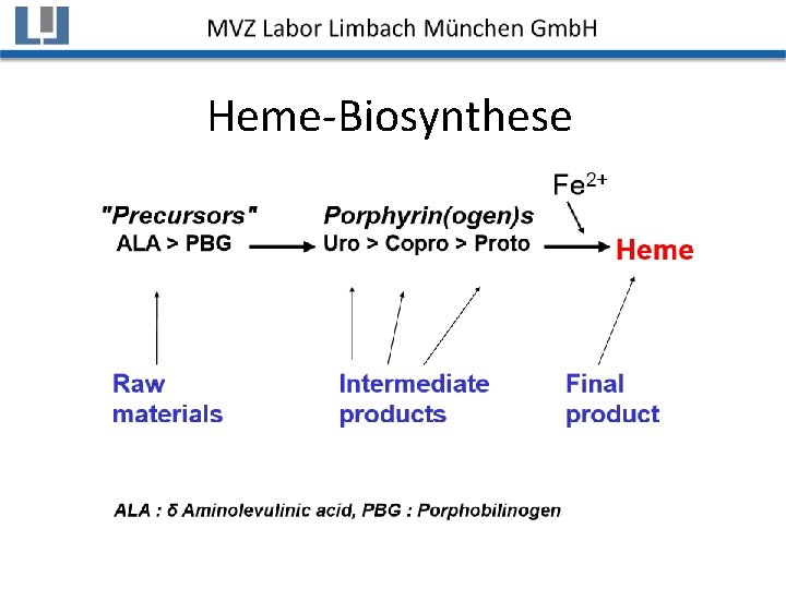 Heme-Biosynthese 