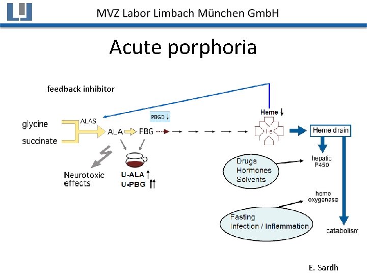 Acute porphoria feedback inhibitor E. Sardh 