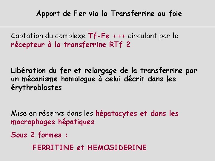 Apport de Fer via la Transferrine au foie Captation du complexe Tf-Fe +++ circulant