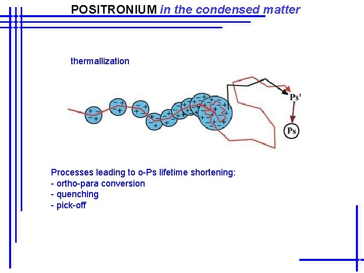 POSITRONIUM in the condensed matter thermallization Processes leading to o-Ps lifetime shortening: - ortho-para