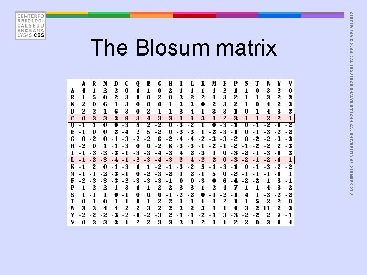CENTER FOR BIOLOGICAL SEQUENCE ANALYSIS TECHNICAL UNIVERSITY OF DENMARK DTU The Blosum matrix 