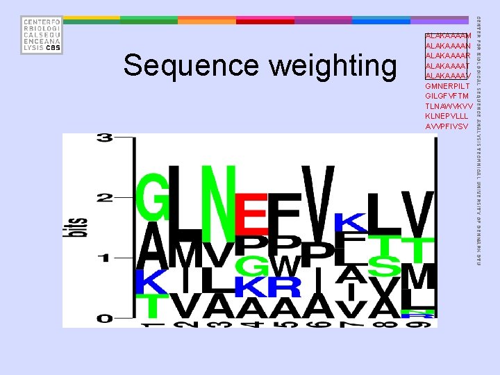 CENTER FOR BIOLOGICAL SEQUENCE ANALYSIS TECHNICAL UNIVERSITY OF DENMARK DTU Sequence weighting ALAKAAAAM ALAKAAAAN