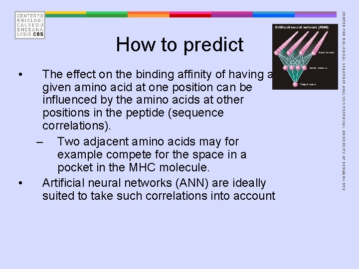 • • The effect on the binding affinity of having a given amino
