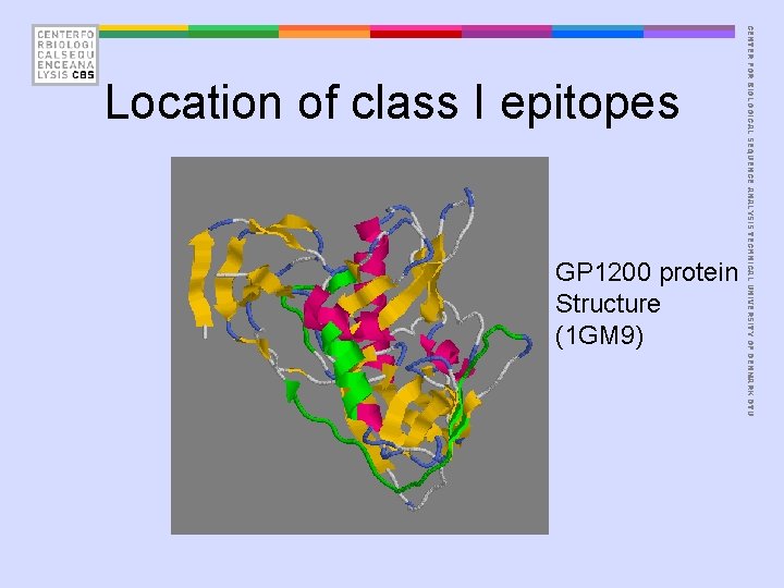GP 1200 protein Structure (1 GM 9) CENTER FOR BIOLOGICAL SEQUENCE ANALYSIS TECHNICAL UNIVERSITY