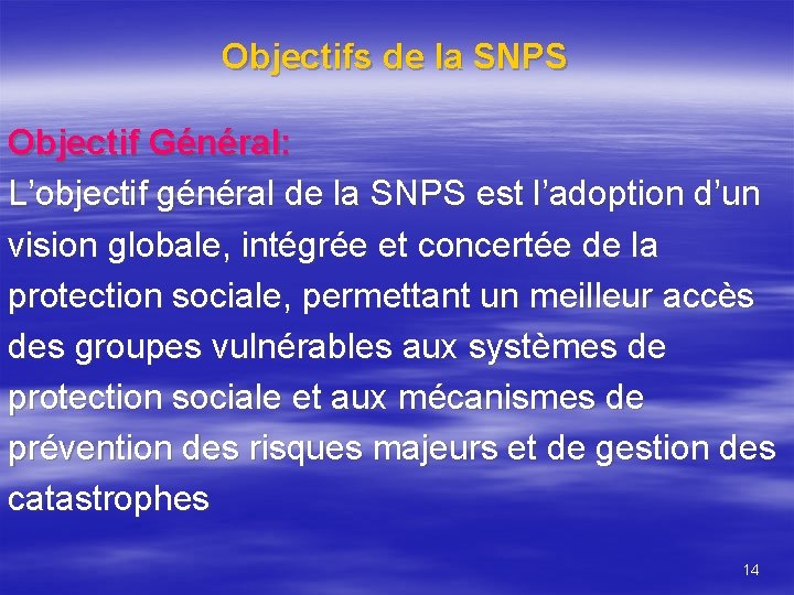 Objectifs de la SNPS Objectif Général: L’objectif général de la SNPS est l’adoption d’un