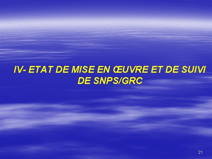 IV- ETAT DE MISE EN ŒUVRE ET DE SUIVI DE SNPS/GRC 21 