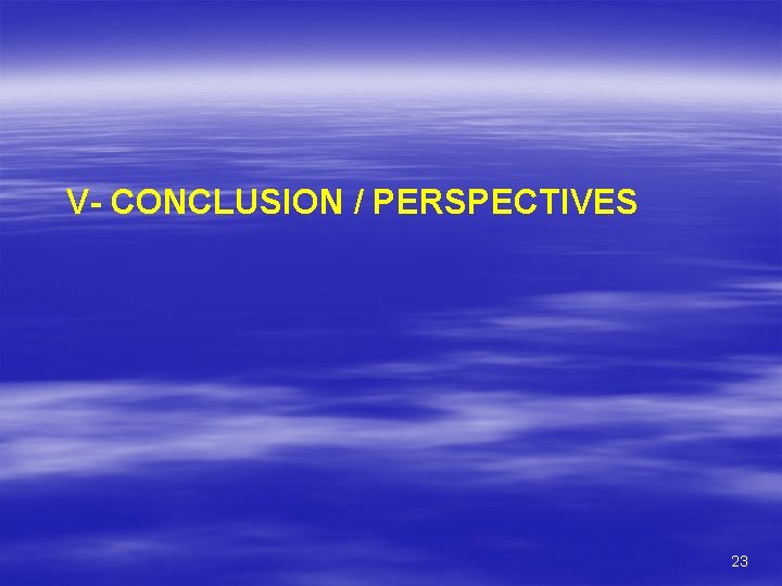 V- CONCLUSION / PERSPECTIVES 23 