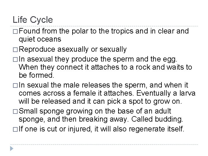 Life Cycle � Found from the polar to the tropics and in clear and