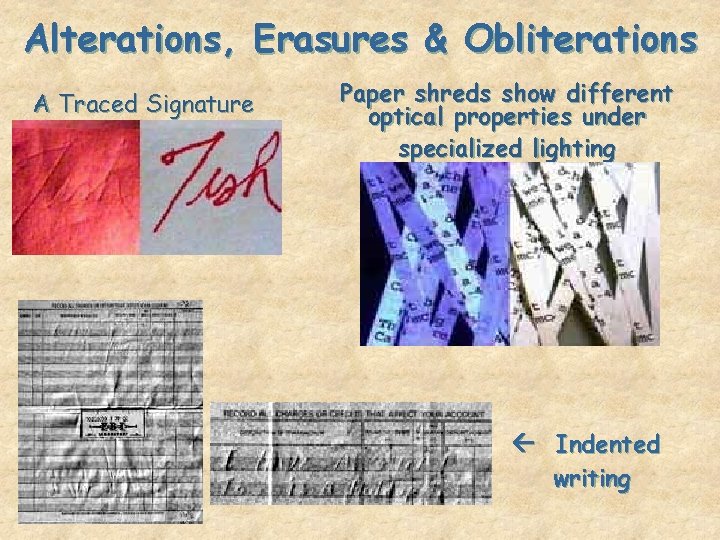 Alterations, Erasures & Obliterations A Traced Signature Paper shreds show different optical properties under