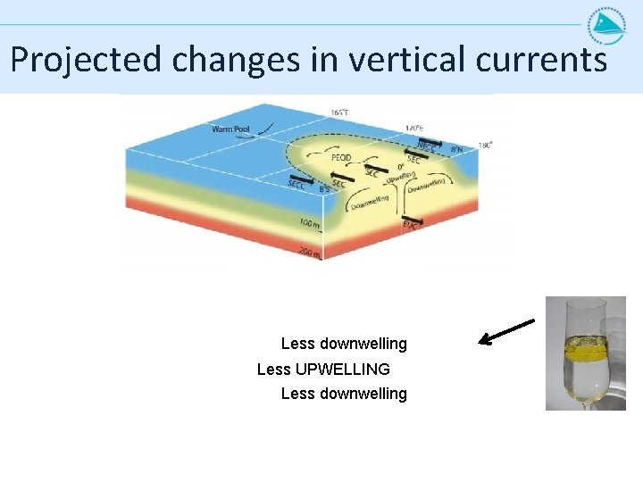 Projected changes in vertical currents Less downwelling Less UPWELLING Less downwelling 