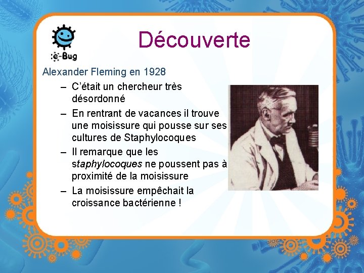Découverte Alexander Fleming en 1928 – C’était un chercheur très désordonné – En rentrant