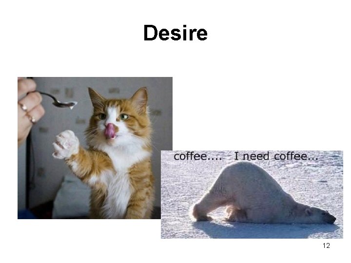 Desire 12 