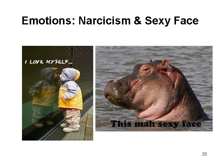 Emotions: Narcicism & Sexy Face 20 