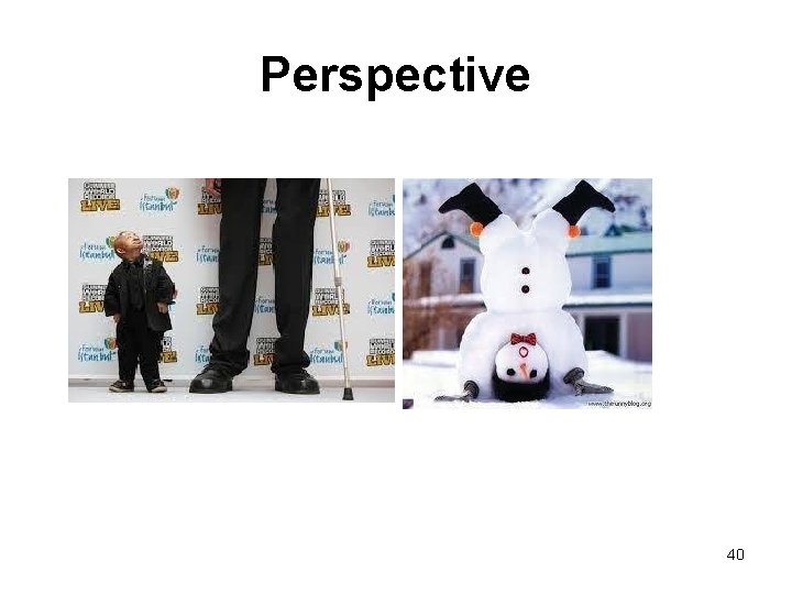 Perspective 40 