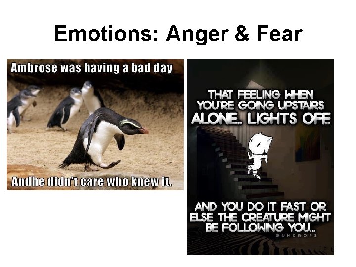 Emotions: Anger & Fear 6 