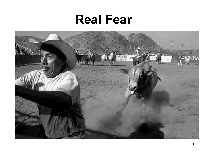 Real Fear 7 